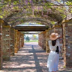 Jannifer Liao avatar