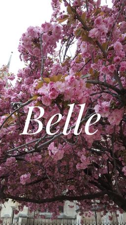 Belle Van guardia avatar