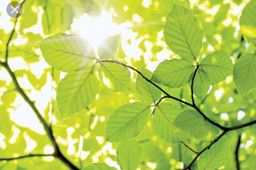 Maria Chatzikostandinou avatar