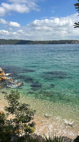 Hayley Rapson avatar