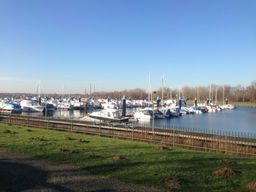 Harum Apriyanti avatar