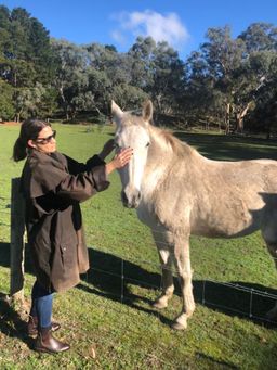 Michelle Alexiou avatar