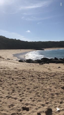 Evie de Mestre avatar