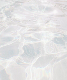 Alice McCleary avatar