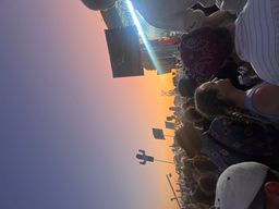 Georgia Carmody avatar