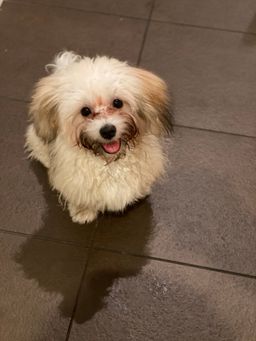 Alisha Kassam avatar