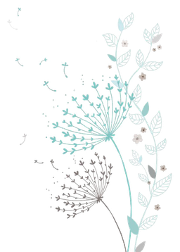 Nicole Madill avatar