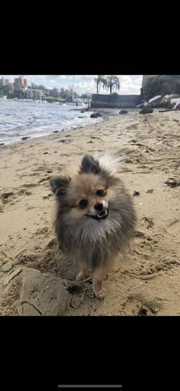 Kate Kindleysides avatar