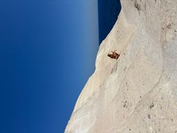 Rosie Donaldson New Lender 1 avatar