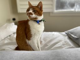 Kathleen Crennan avatar