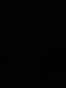 Caleigh Faulkner avatar