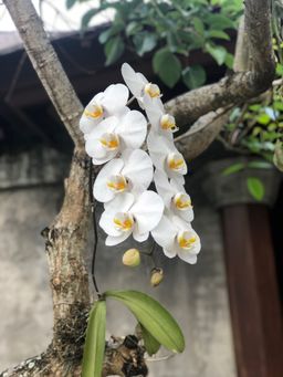 katrina allen avatar