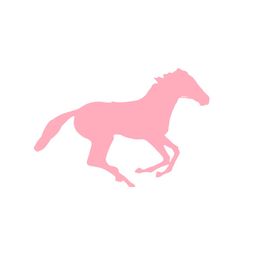 Race Wear Hire avatar