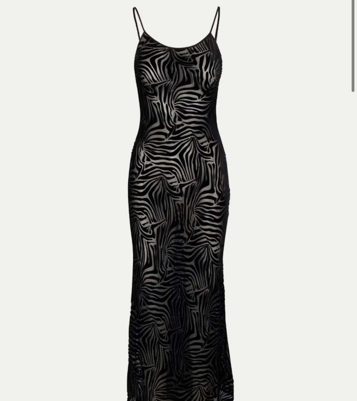 The Amber - Zebra Realisation Par - Image 2