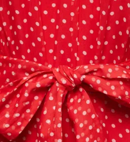 Zimmermann Ninety-Six Swing Red Polka Dot Dress Size 0 / AU 8 for rent on The Volte - image 3