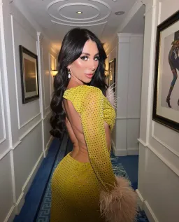 House of CB Gina Crystallised Maxi Dress Chartreuse Size S / AU 8 for rent on The Volte - image 9