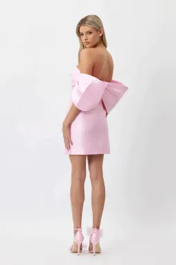 Bianca and Bridgett Eden Mini Dress Pink Size 8 for rent on The Volte - image 3