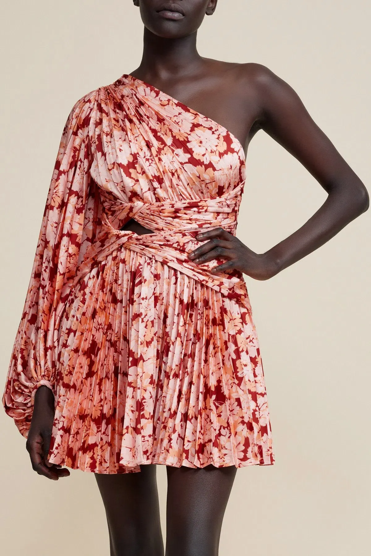 Acler Auroa Floral Mini Dress Rouge Medley Size 14  - Image 1