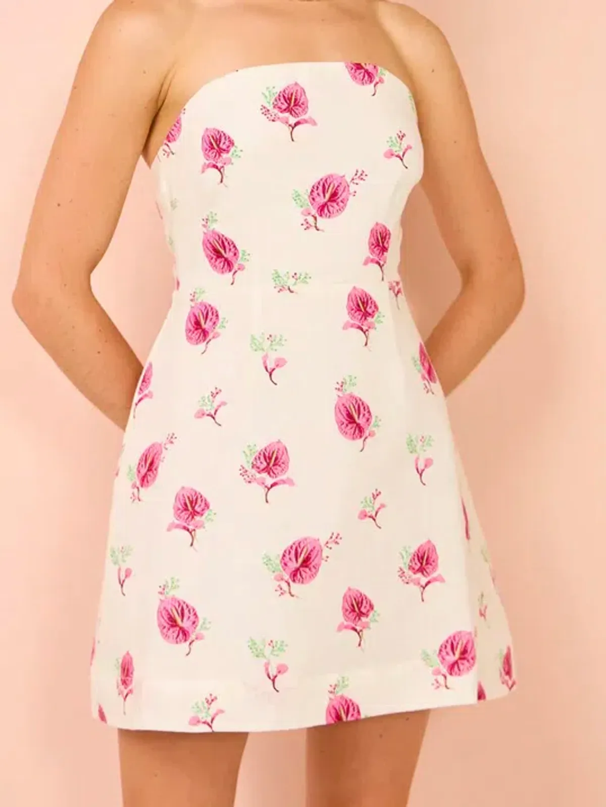 Aston Studio Beatrix Mini Dress In Arisa Anthurium Size 8 - Image 2