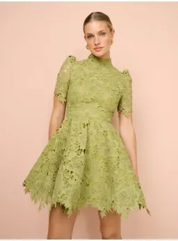 Leo Lin Elise Lace Short Sleeve Mini Dress in Olive Size AU 12 for rent on The Volte - image 2