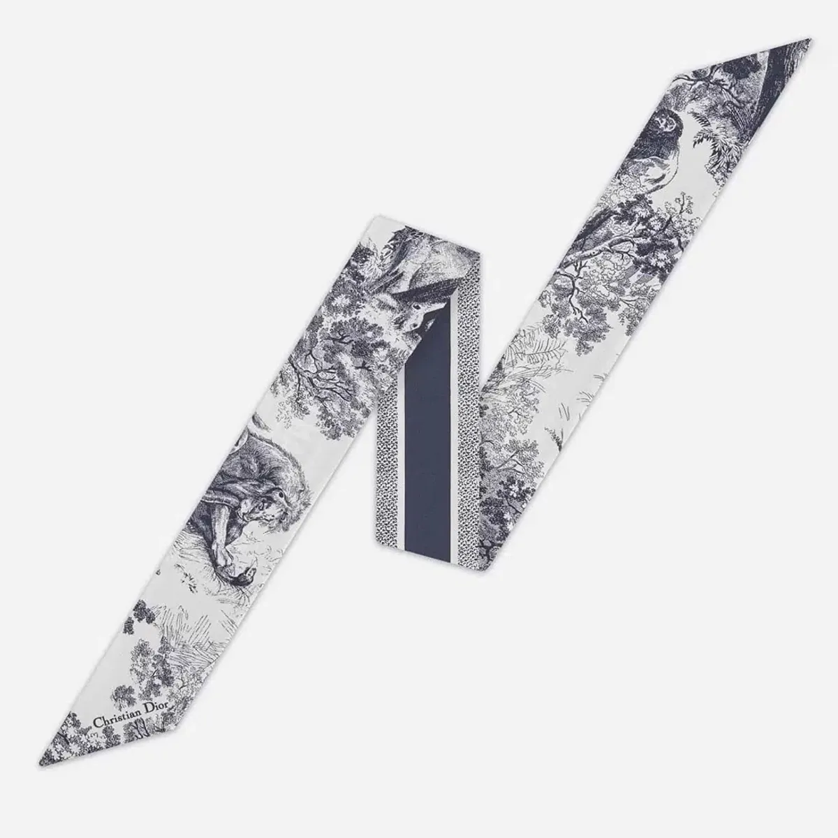 Dior Toile De Jouy Sauvage Mitzah Scarf - Image 5