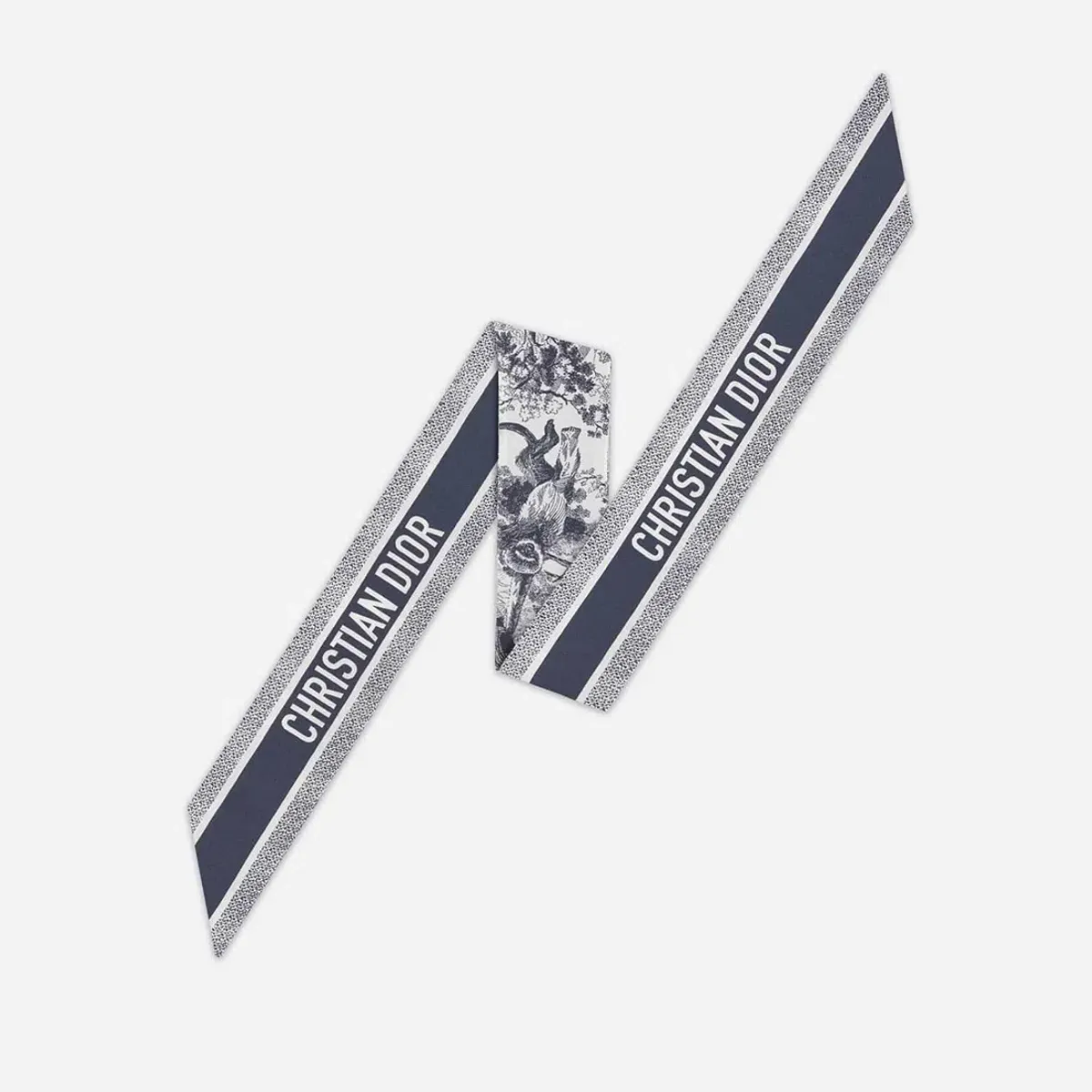 Dior Toile De Jouy Sauvage Mitzah Scarf - Image 4