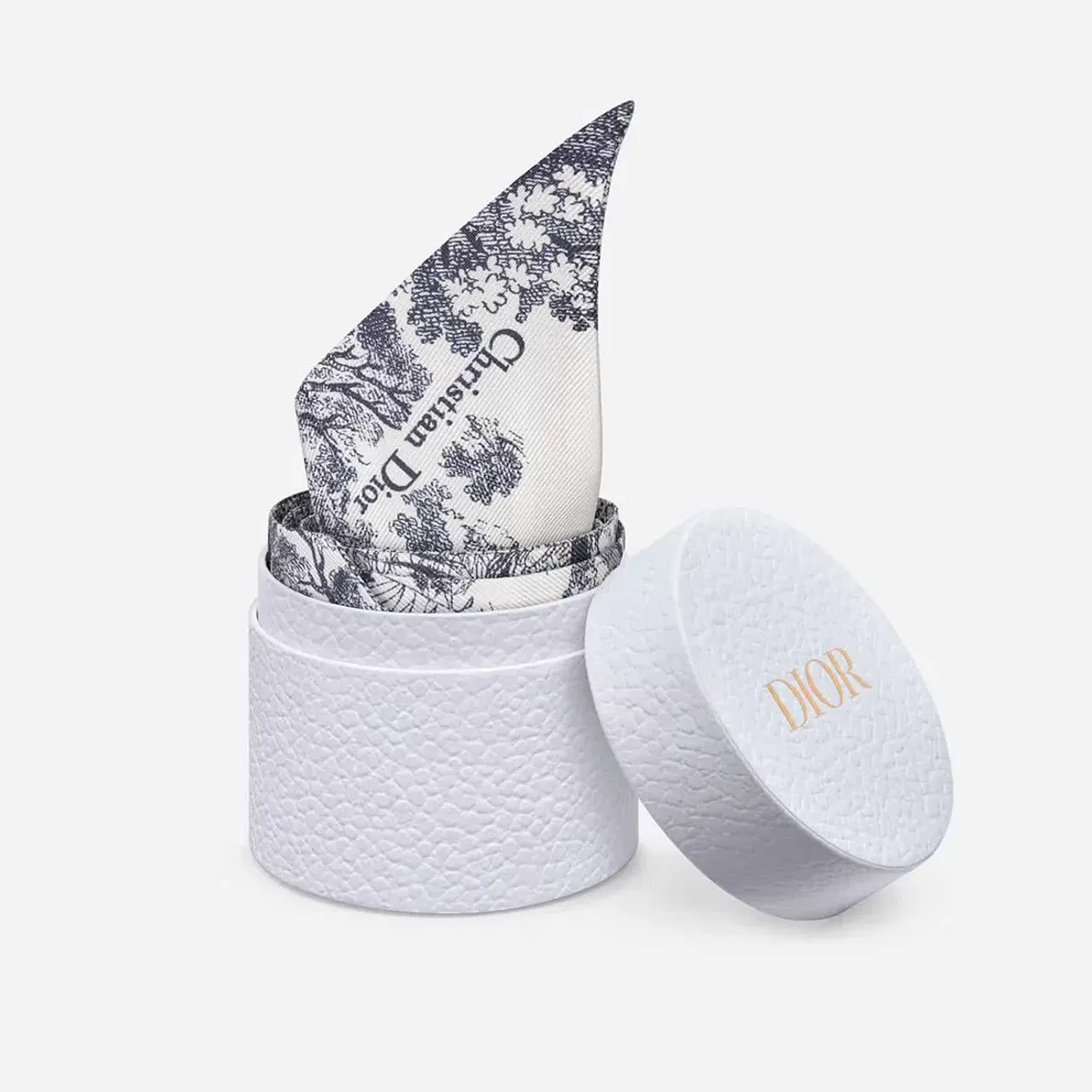 Dior Toile De Jouy Sauvage Mitzah Scarf - Image 6