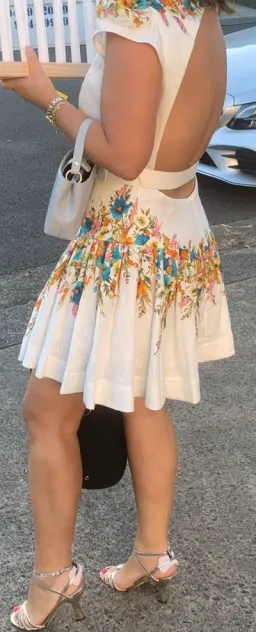 Zimmermann Estelle Tie Backless Mini Dress Cream Floral Size 3 / AU 14 for rent on The Volte - image 3