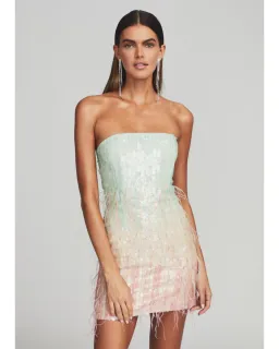 Retrofete Anastasia Sequin Feather Mini Dress in Feather Size AU 8 for rent on The Volte - image 2