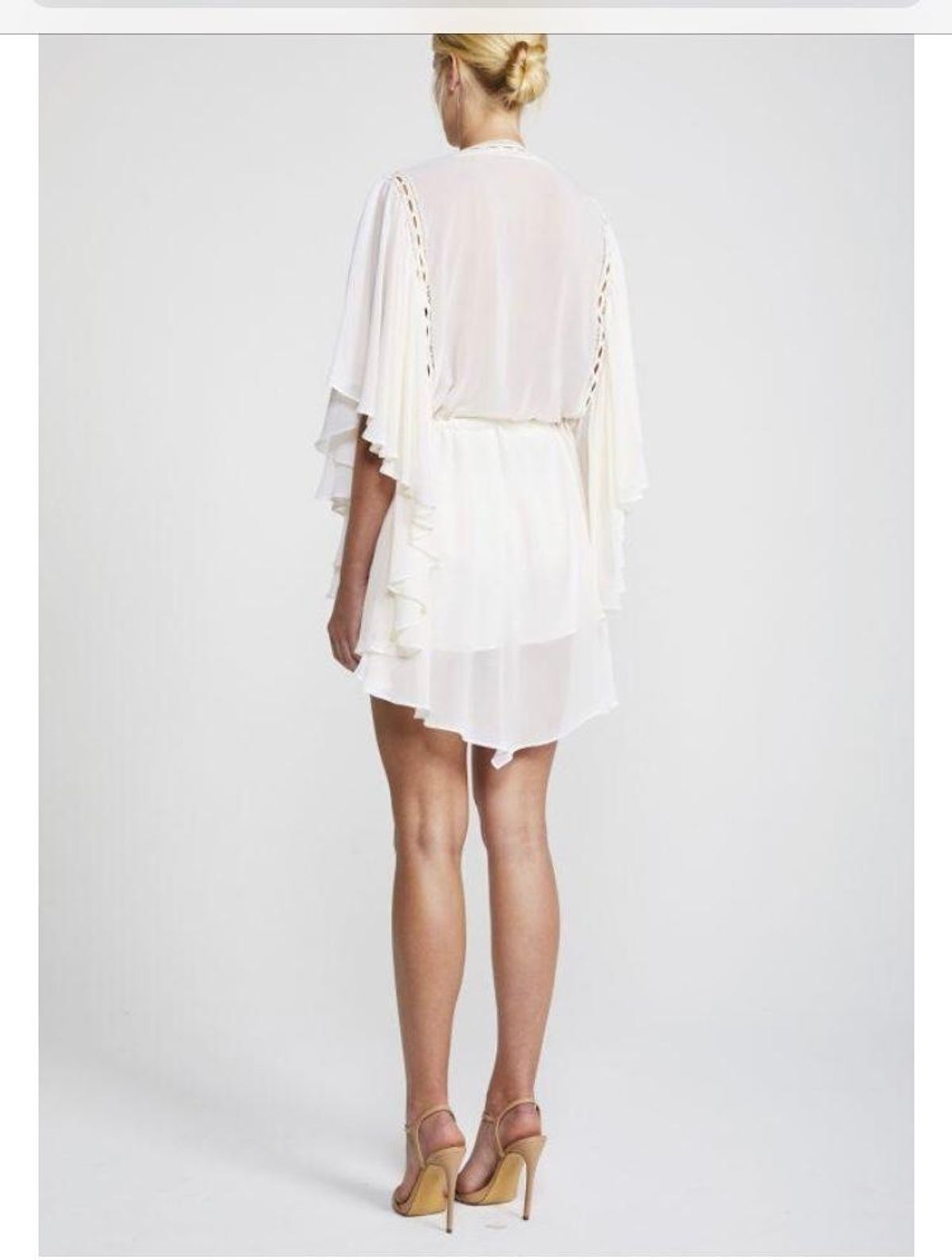 Eclipse Frill  - Image 2