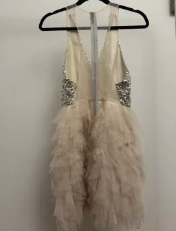 Eileen Kirby Lilly Mini Dress Nude and Silver Size AU 8  for rent on The Volte - image 2