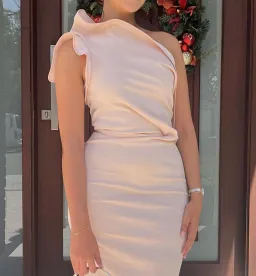 Maticevski Instrumental Gown Blush Pink Size 10  for rent on The Volte - image 2