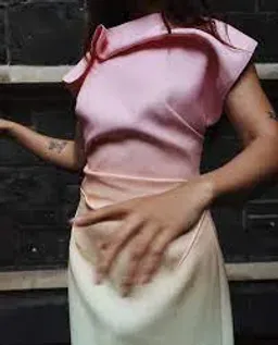 Acler - Warfield Dress - Size 8 for rent on The Volte - image 5