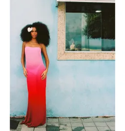 Rat & Boa Arabella Dress Pink And Red Size XS / AU 6 for rent on The Volte - image 1