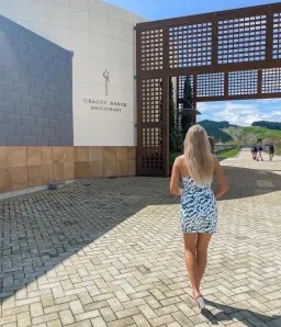 Kookai Jamila Green White Strapless Mini Dress Multi Size AU 10 for rent on The Volte - image 5