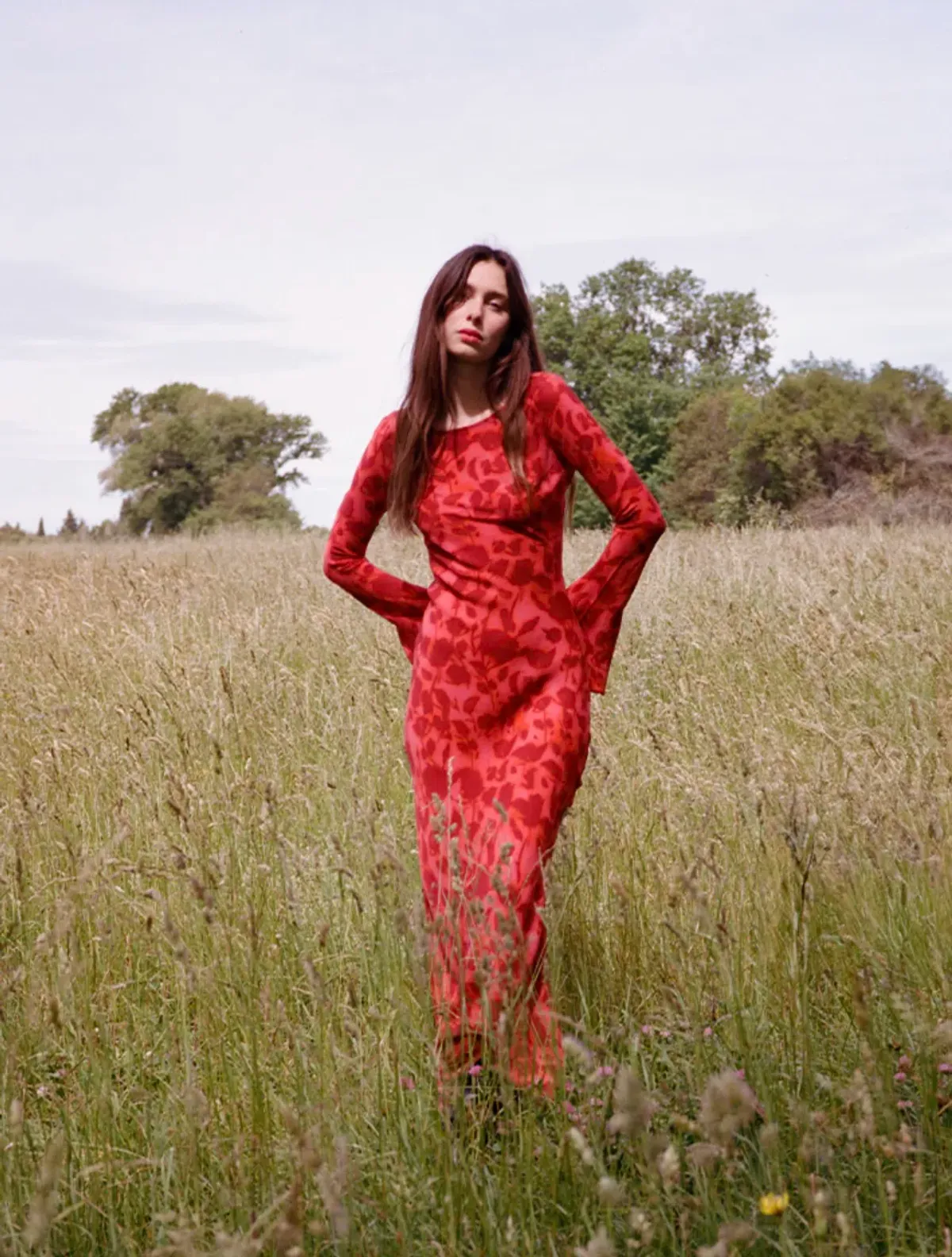 Realisation Par The Gia Dress in Havana Print Size XL / AU 14 - Image 2