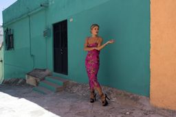 Rat & Boa KiKi Dress Pink Size 8  for rent on The Volte - image 5