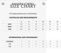 Manning Cartell Born Free Animal Print Maxi Dress Size 10 for rent on The Volte - image 4