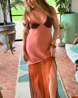 Sir the Label Halcyon Slip Midi Dress Brown/Pink Size 10  for rent on The Volte - image 2