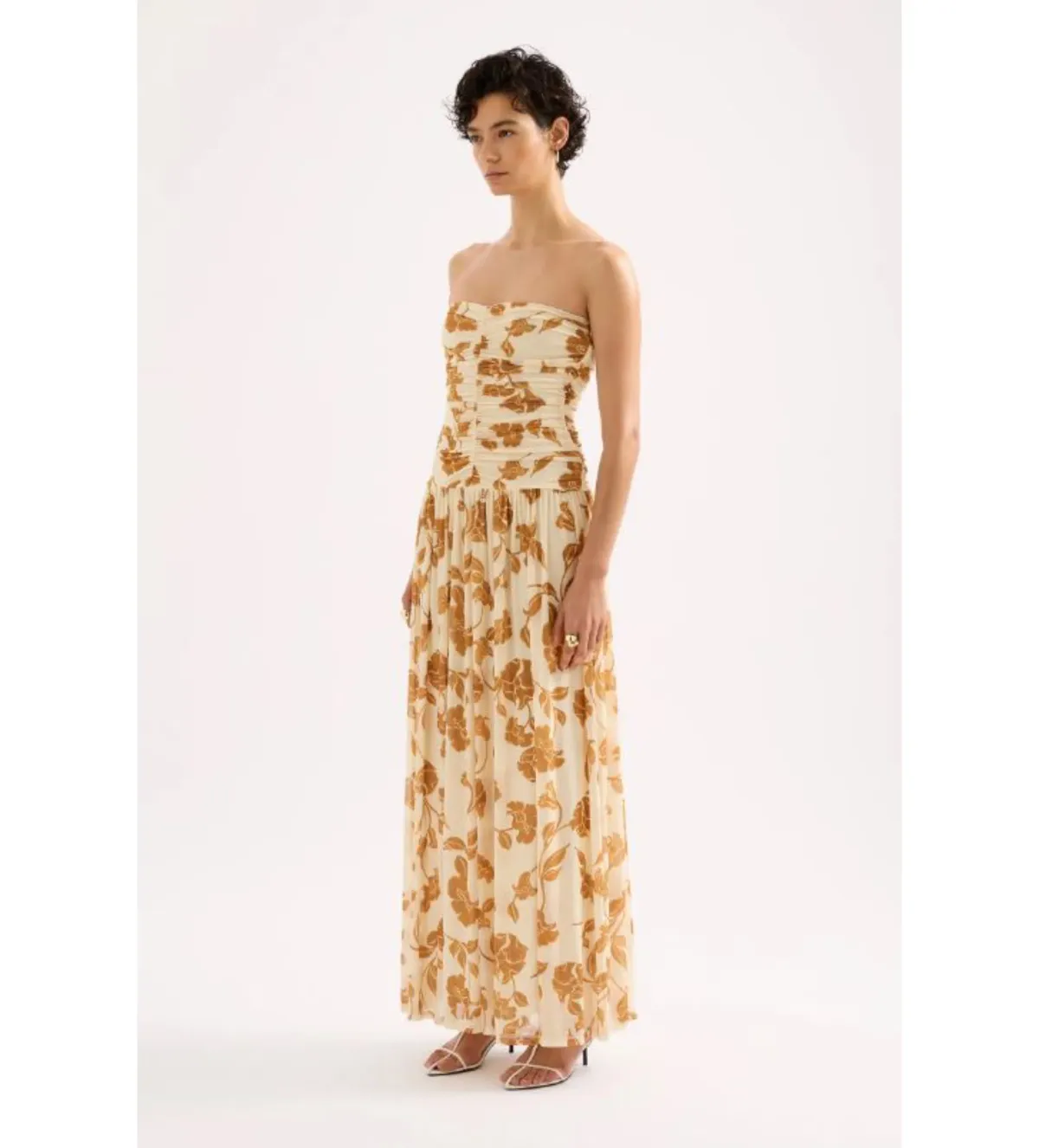 Nude Lucy Roshanne Mesh Maxi Dress Cream Floral Size XS / AU 6 - Image 2