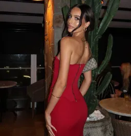 HNTR The Label Louie Gown in Wine Size Small for rent on The Volte - image 1