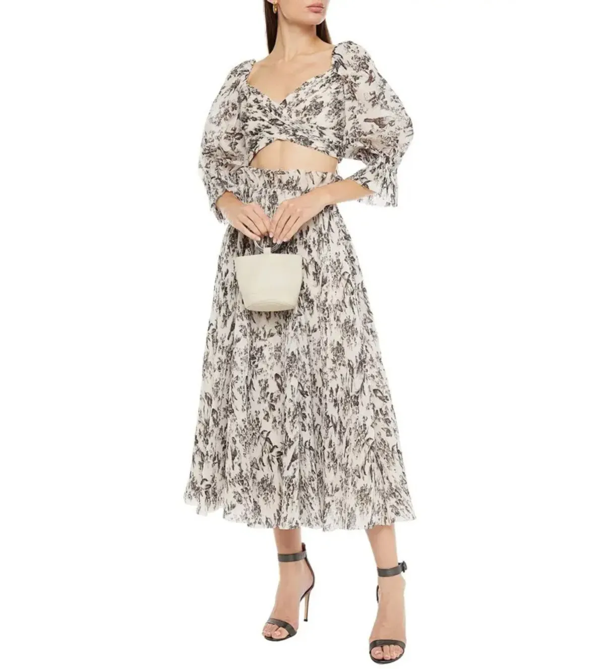 Zimmermann Pleated Printed Organza Bodice Size 1/AU 10 and Midi Skirt Set Size 0/AU 8 in Bird Toile Print - Image 1