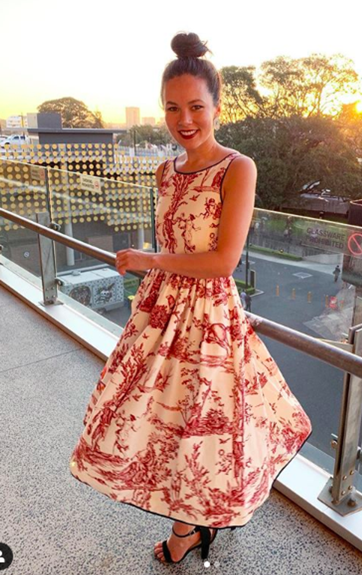 Max Mara Trophy Day Dress Print Size 8 - Image 4