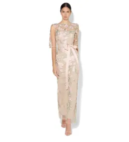 Montique Raya Embroidered Gown Pink Size AU 16 for rent on The Volte - image 1