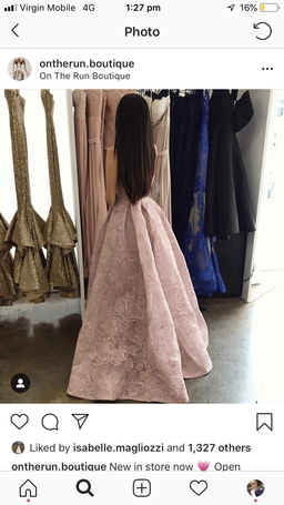 Portia and scarlette gown Size 6 for rent on The Volte - image 4