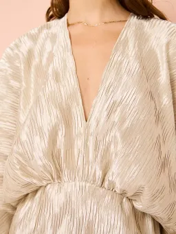 Lidee De Luxe Gown Champagne Maxi Size AU 10 for rent on The Volte - image 4