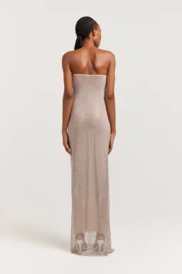 Henne Carmine Maxi Dress in Glimmer Size 2XS/XS (AU 6) for rent on The Volte - image 3