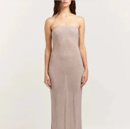 Henne Carmine Maxi Dress in Glimmer Size 2XS/XS (AU 6) for rent on The Volte - image 4