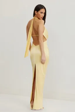 Lexi  Alice Gown  Yellow  Size 6  for rent on The Volte - image 2
