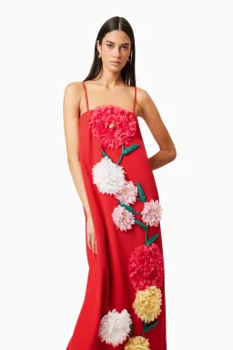 Elliatt Buttercup Embroided Maxi Dress Red Size M/ AU 10 for rent on The Volte - image 3